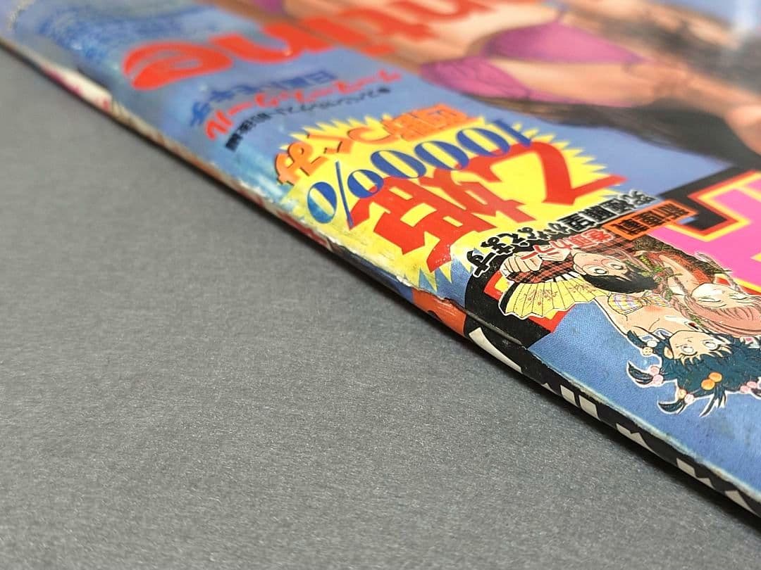 ヤングアニマル1995年4号/ベルセルク第52話/橋本典子表紙&水着グラビア