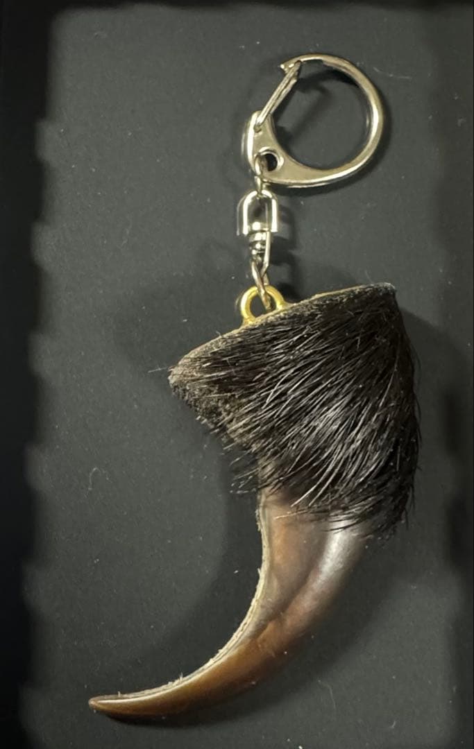 羆 熊の爪 bigサイズ 7、9cm - メルカリ