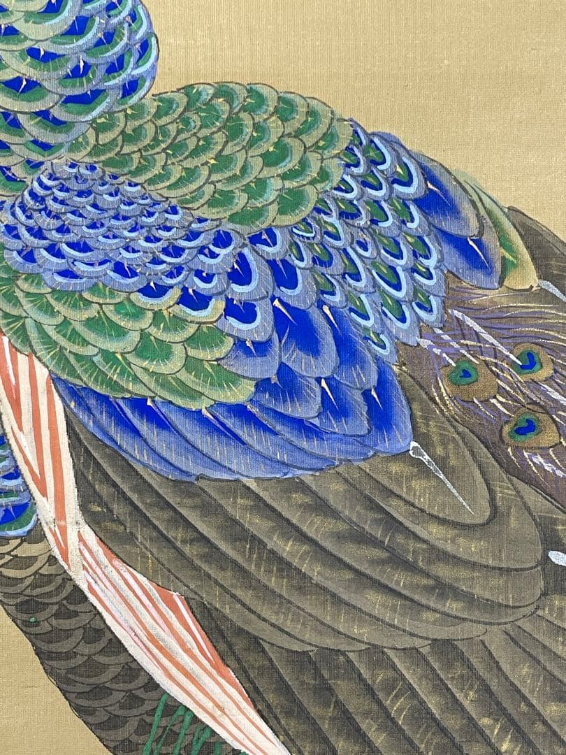 日本画 熊斐銘 孔雀図 掛軸 肉筆 絹本 時代箱付 古美術 4C06-11 - メルカリ