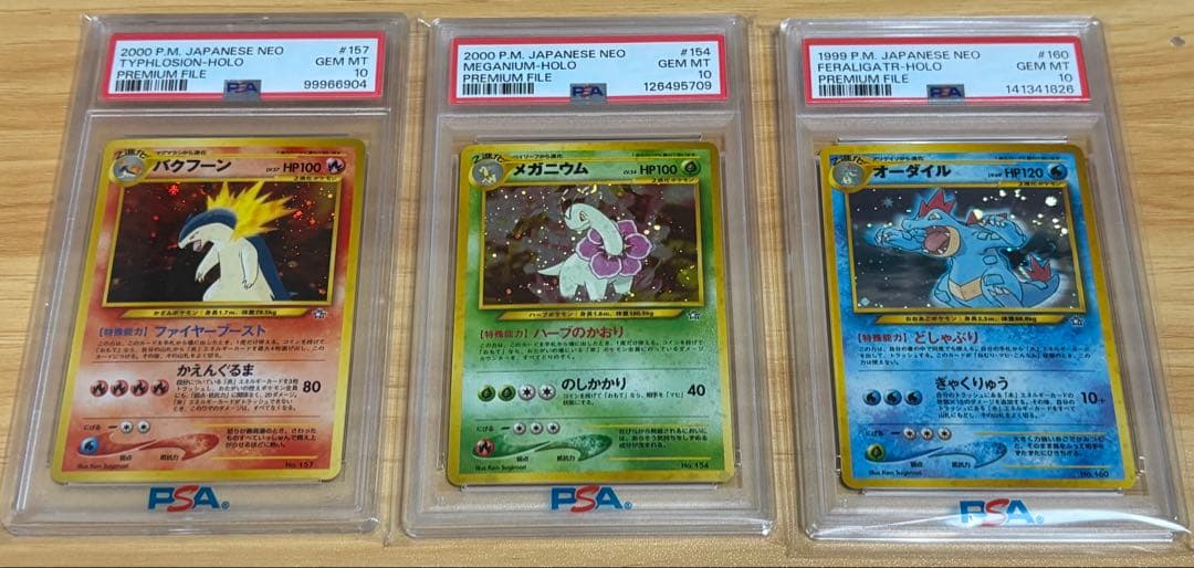 PSA10】バクフーン メガニウム オーダイルプレミアムファイル 旧裏