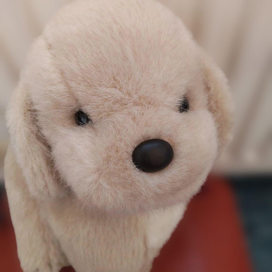 うめ吉　オリエンタルトーイ　日本製 うめ吉 座り 犬 ぬいぐるみ オリエンタルトーイ 2024年新製品 : HONDA