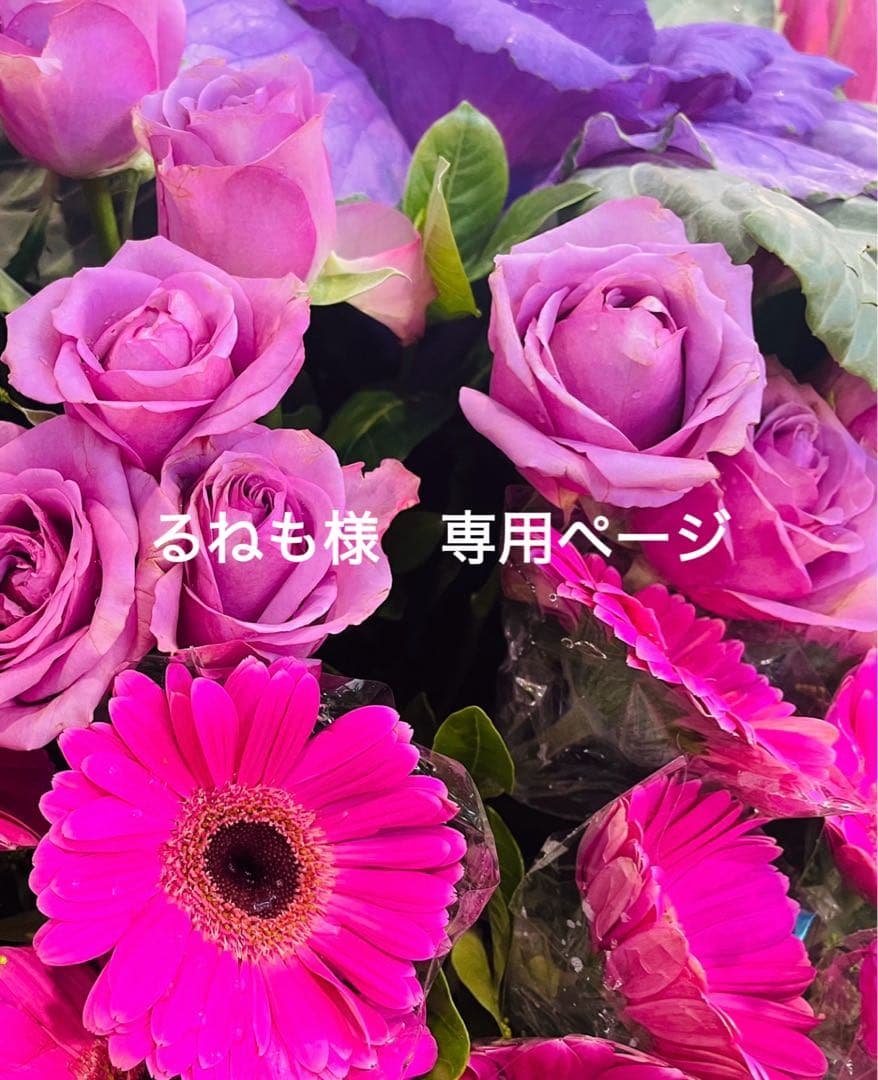 るねも Z/X -Zillions of enemy X- アイドル♪スプラッシュフェスタ | TCG