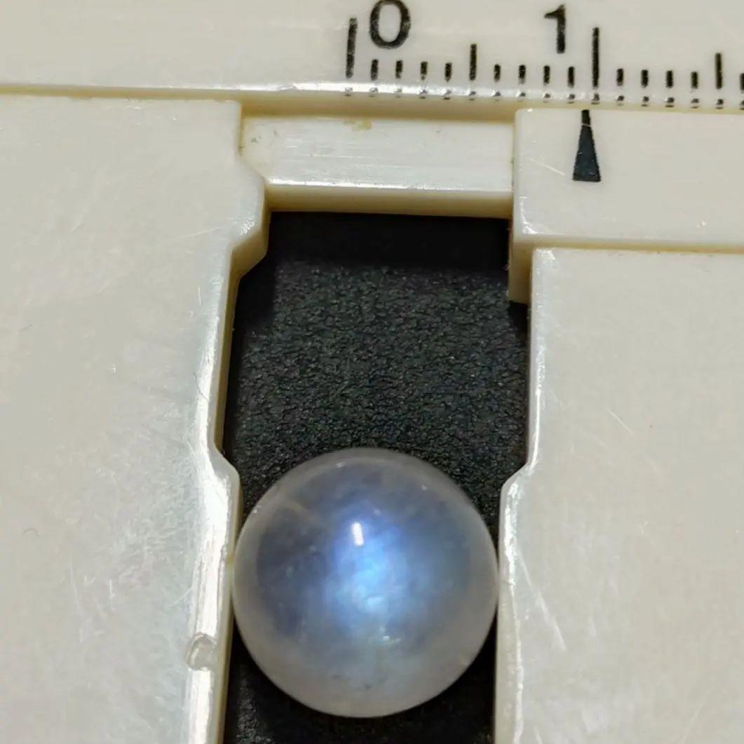 ★(BLACK SAM！)おまとめ購入3点！