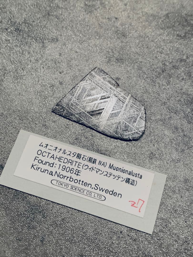 ムオニオナルスタ隕石 標本 119g ムオニオナルスタ鉄隕石標本: 天然ウェステンデン パターン