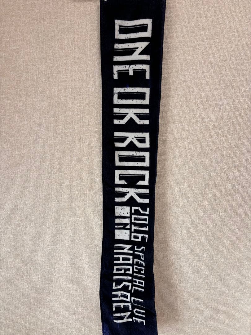 ONE OK ROCK 2016 渚園 ライブTシャツ Mサイズ - メルカリ