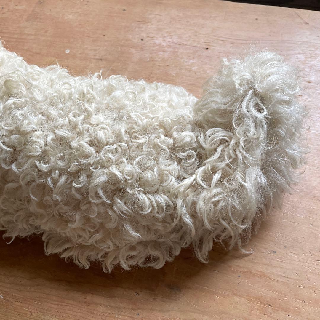 ⭐︎専用⭐︎パジャマドッグ LOULOU フランスアンティーク - メルカリ