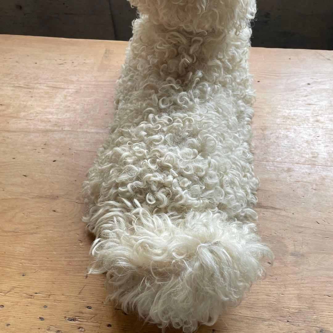 ⭐︎専用⭐︎パジャマドッグ LOULOU フランスアンティーク - メルカリ