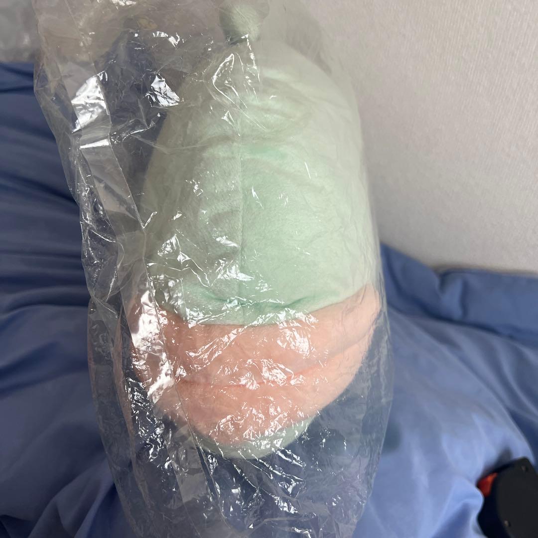 アランジアロンゾ ウオ　抱き枕