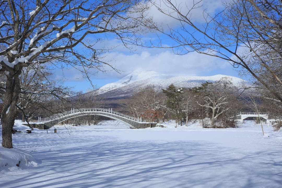 HELIOS-44M-4 58mm F2 《KMZ製》 【良品】