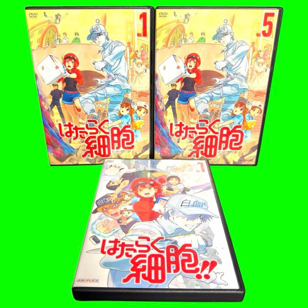 ケース付 はたらく細胞　DVD 1期+2期＋特別編　全12巻セット Amazon.co.jp: はたらく細胞 特別編(完全生産限定版) [DVD] : 花澤香菜