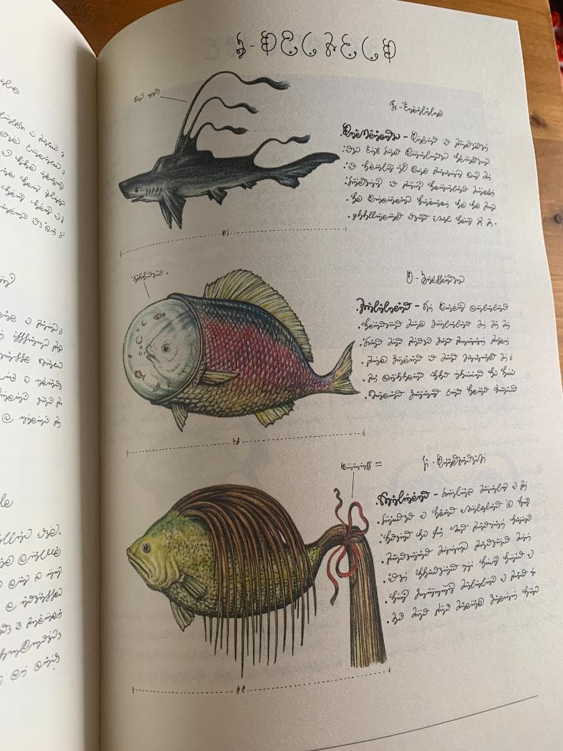 C*N様 Codex Seraphinianus 新しく特別な版 - メルカリ