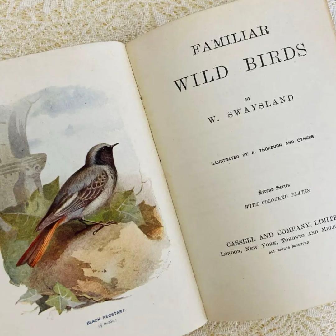 洋書 古書 Familiar Wild Birds 1&2巻 アンティーク鳥図鑑
