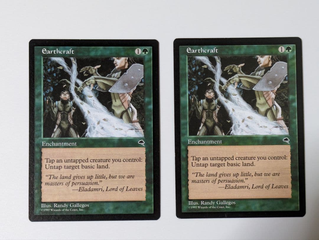 MTG 大地の知識 2枚セット