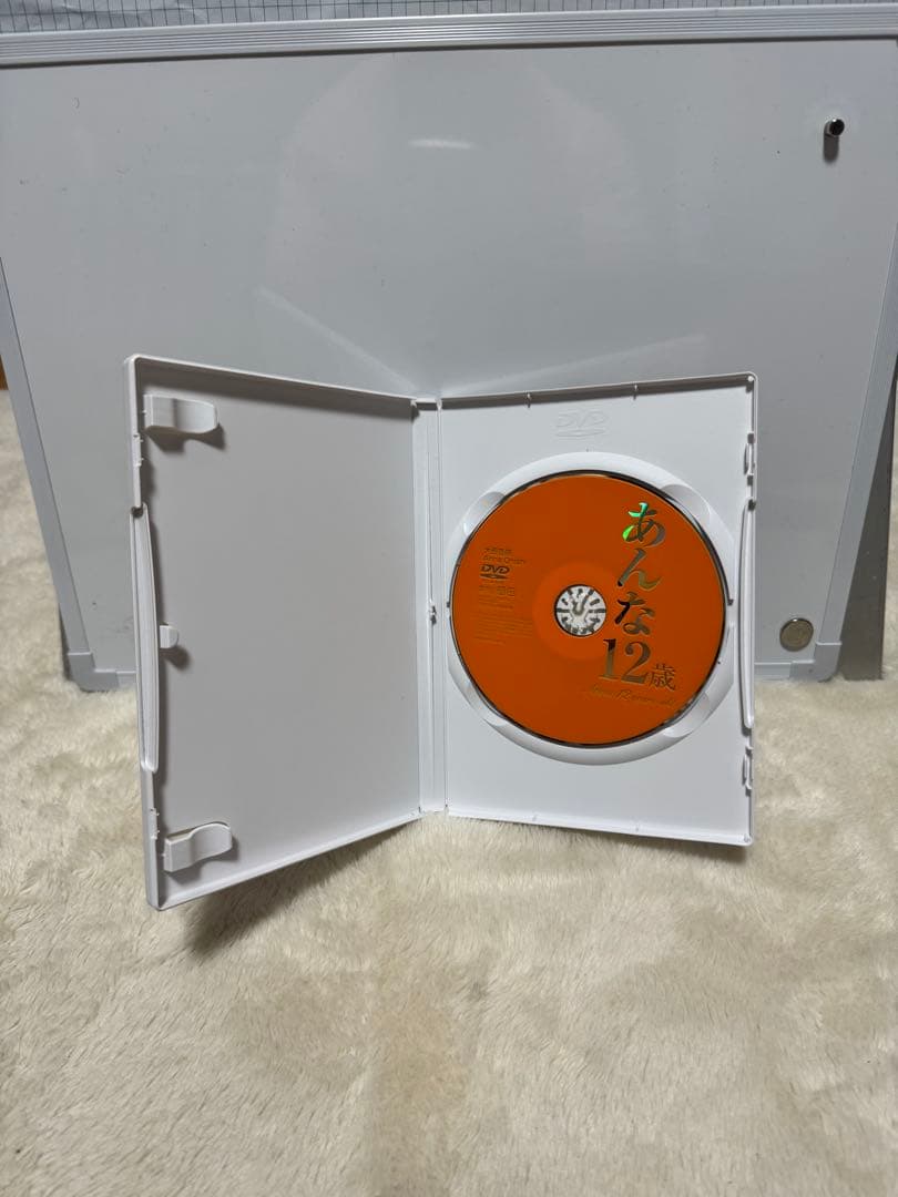 会田我路 大西杏奈 ぶんか社