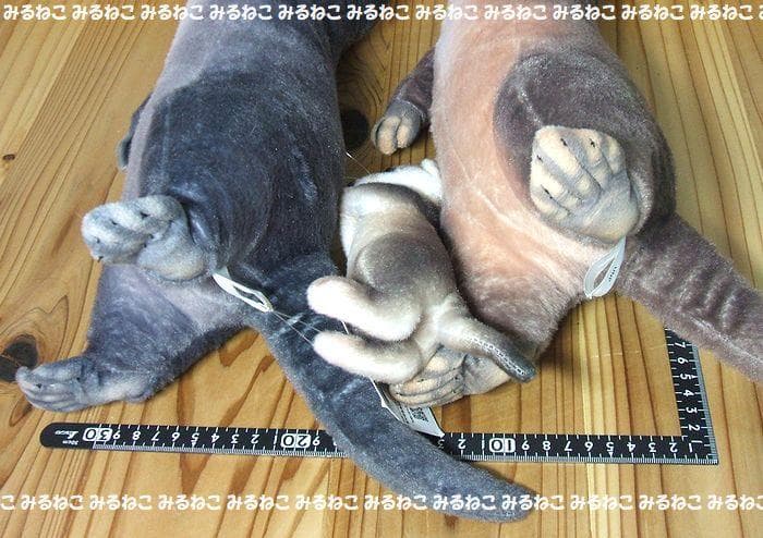 特大 アートドール リアルアニマルズ カワウソ 全2種 おねだり 未使用 セット