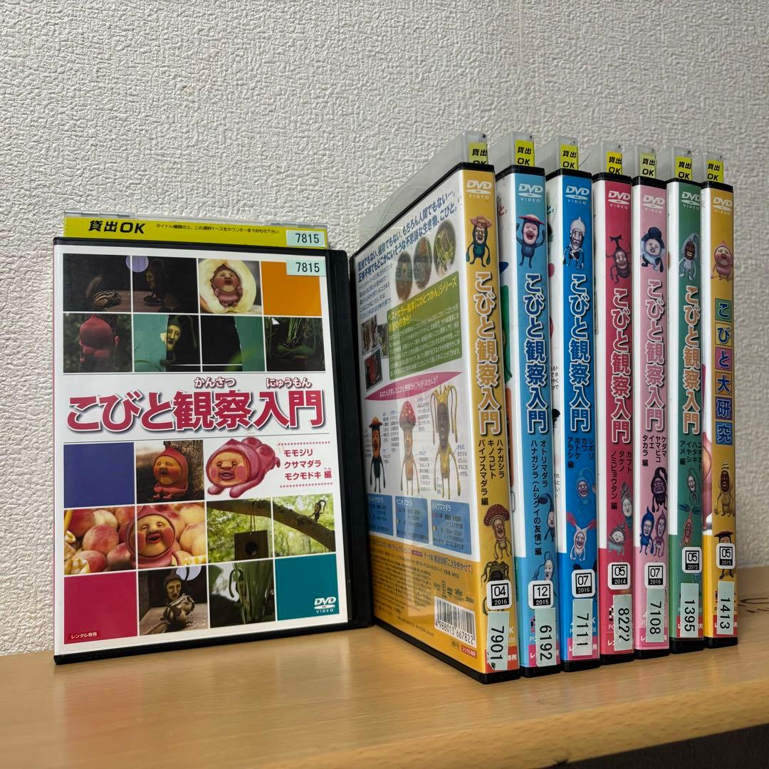 こびとづかん 観察入門 こびと大研究 DVD セット レンタルアップ 希少