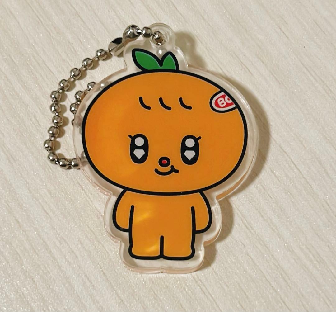 MINITEEN ミニティーン アクリルキーリング スングァン プギュリ