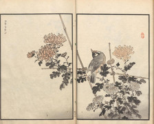 花鳥画に息づく日本の心：幸野楳嶺が描いた自然への讃歌と花卉/園芸