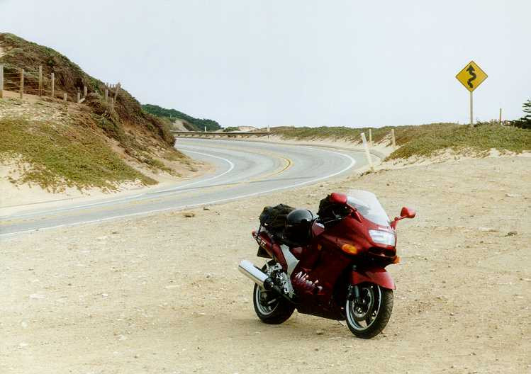 Kawasaki ZX-11D | Pashnit Motorcycles