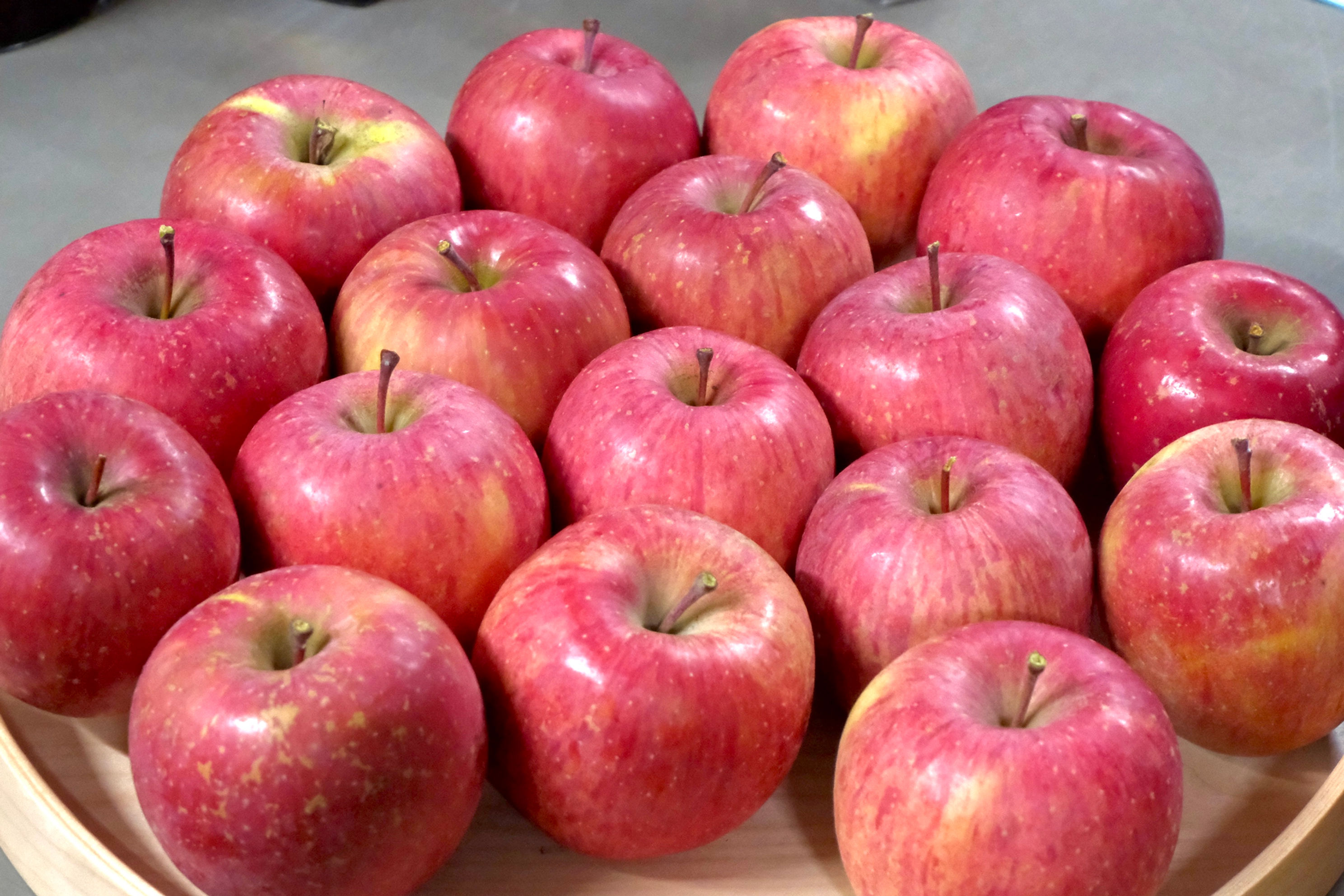 採れたてりんご (2kg~) | 金ケ崎薬草酒造