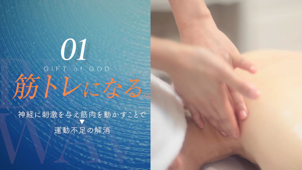 バイオウェーブ | B&F株式会社