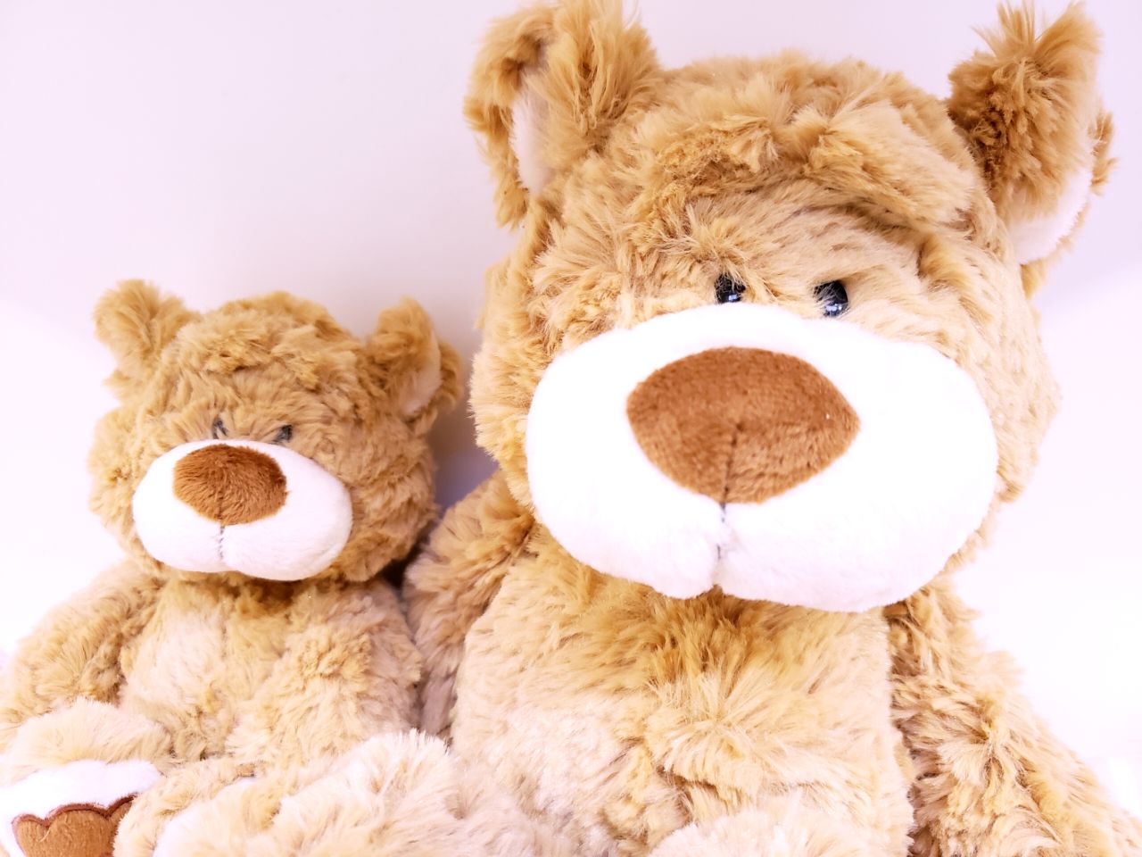 NICI クラシックベア11 | Rainbow SPECTRUM エチカ池袋