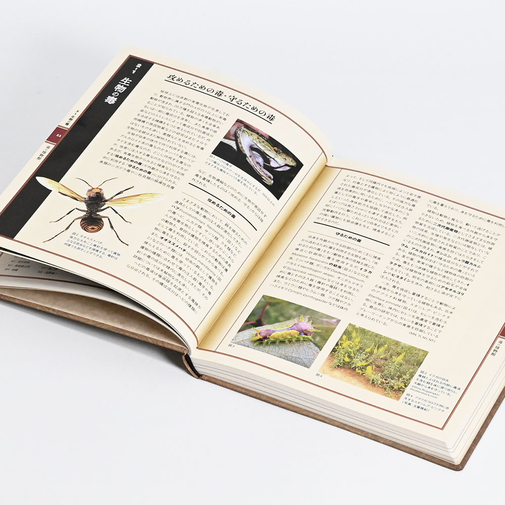 毒展 特別展「毒」の公式図録（汚れなし） 公式図録 特別展