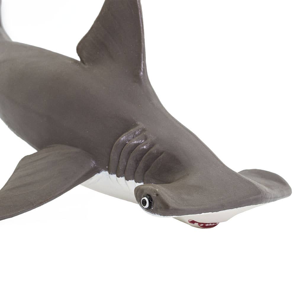 Hammerhead Shark Baby - 267929