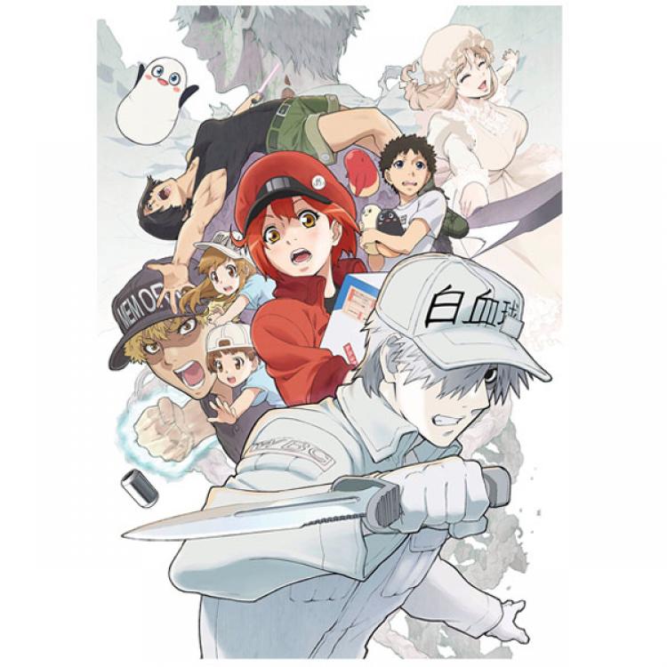 はたらく細胞!!／DVD／1（完全生産限定版） | TBS・MBSアニメ 公式