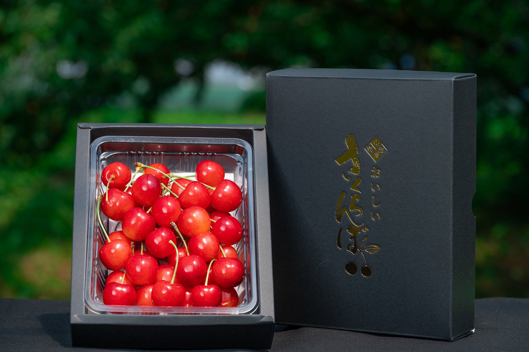 山形セレクション認定品 さくらんぼ 佐藤錦 特秀品 Lサイズ以上 300g S