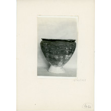 山内清男コレクション