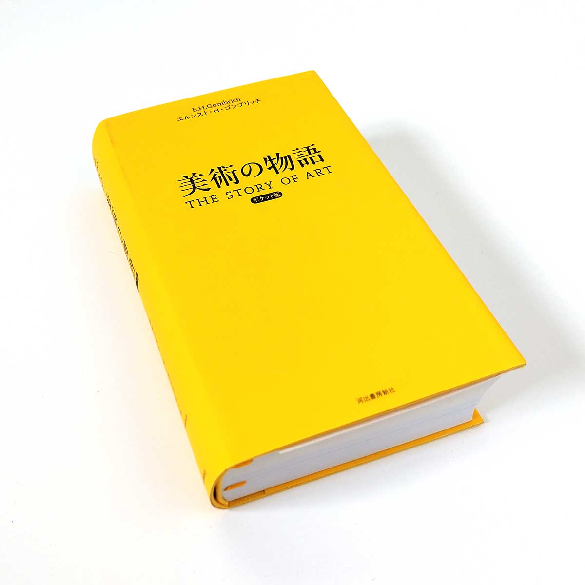 Story of Art Pocket Edition