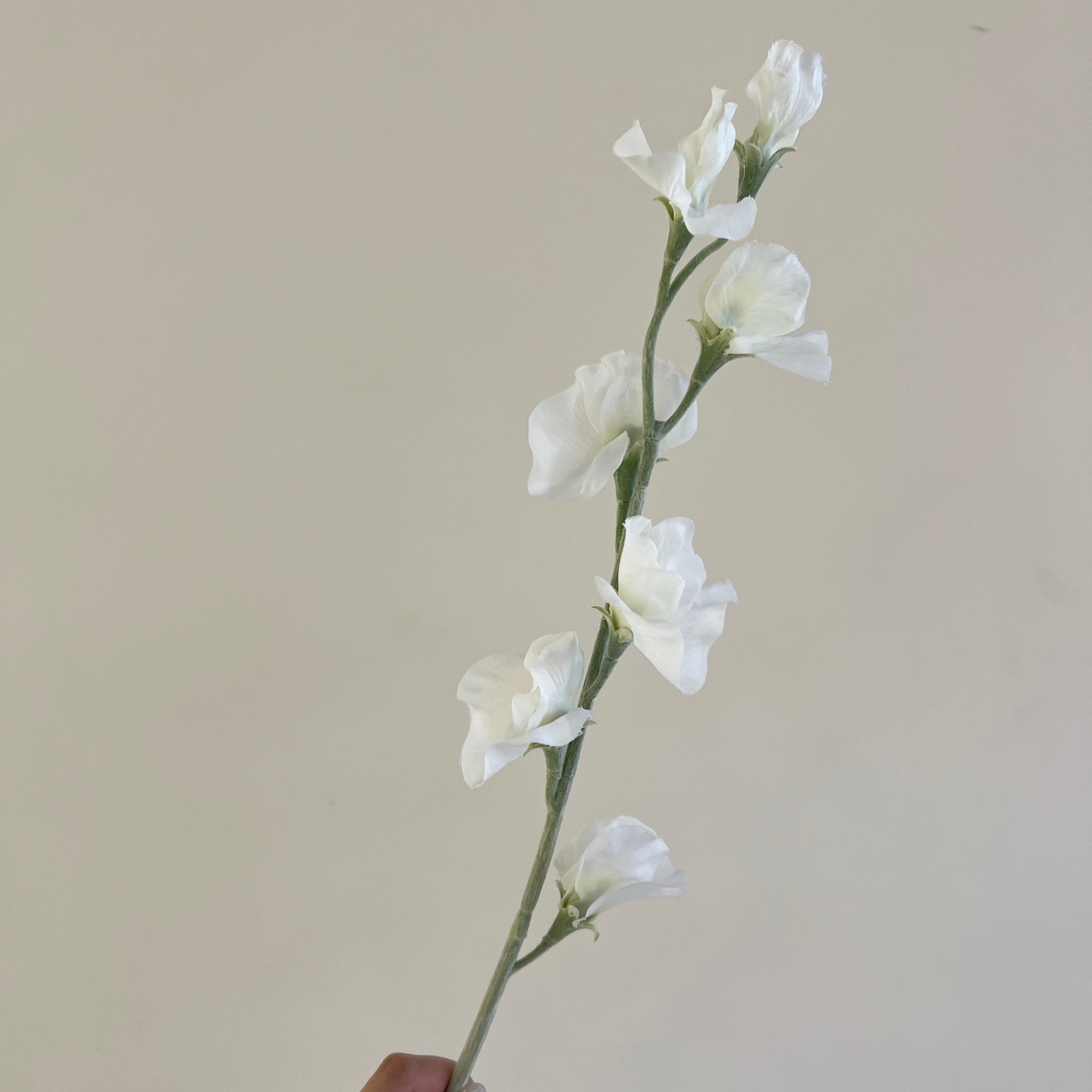 スイートピー ホワイト – Artificial Flowers kiki
