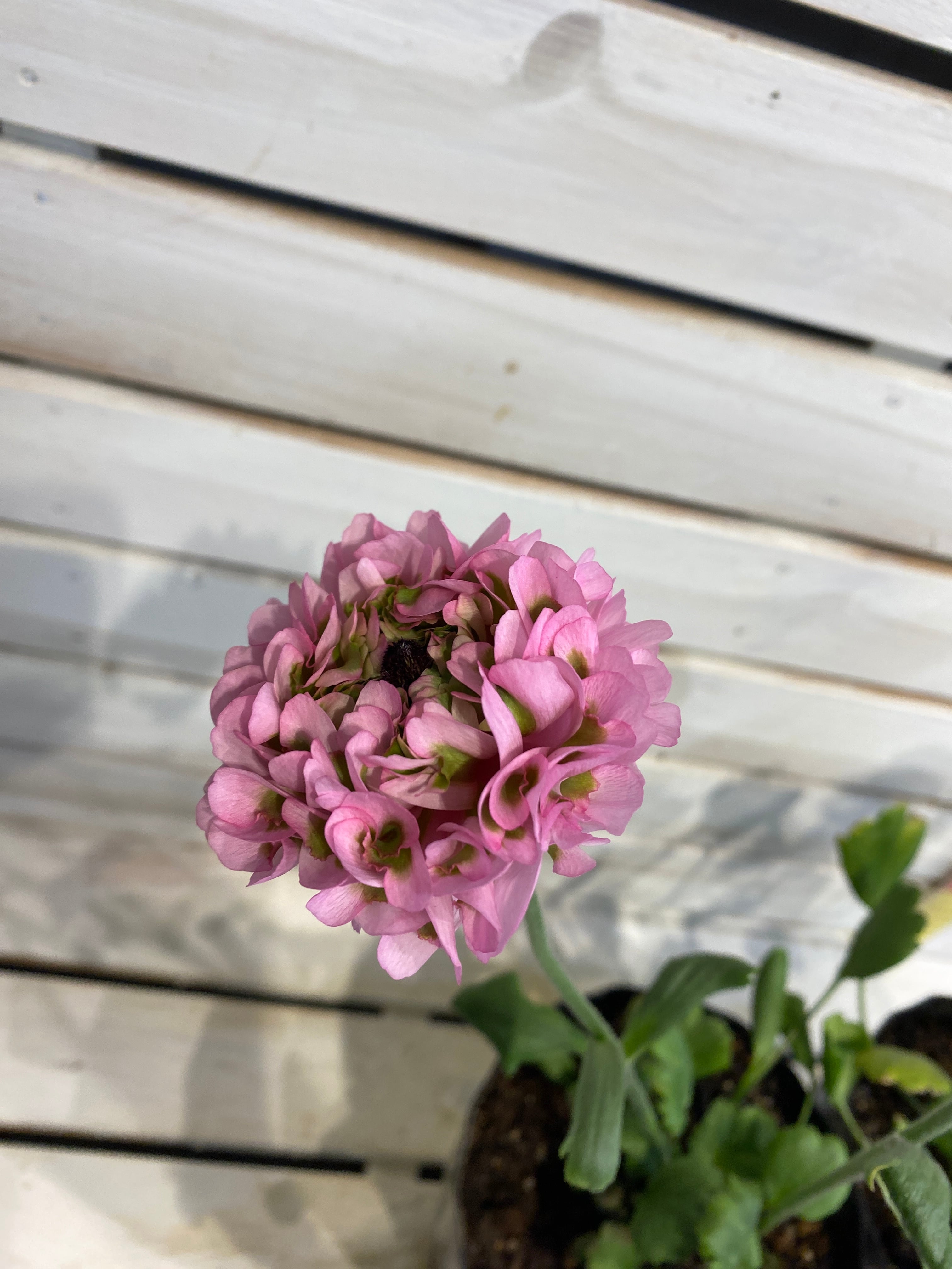 5751f2507b99a464732144bb38ec9d