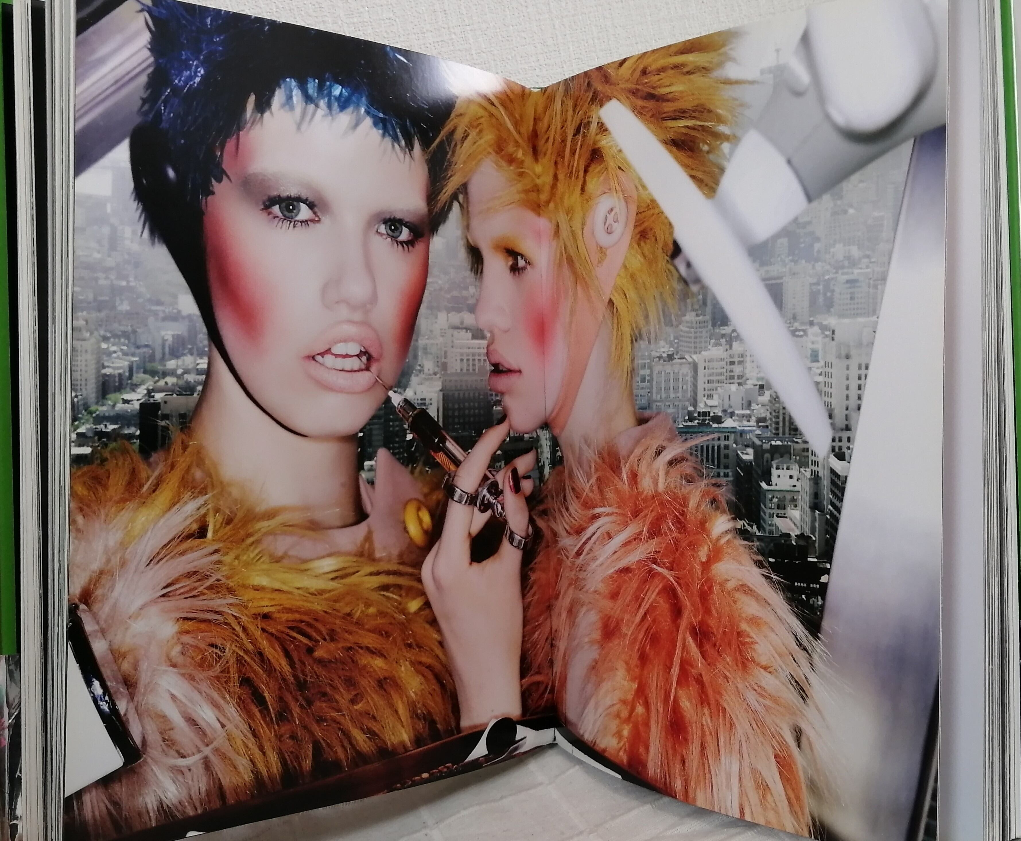 mario testino 洋書写真集 Mario Testino:Any Objections?/写真 作品集