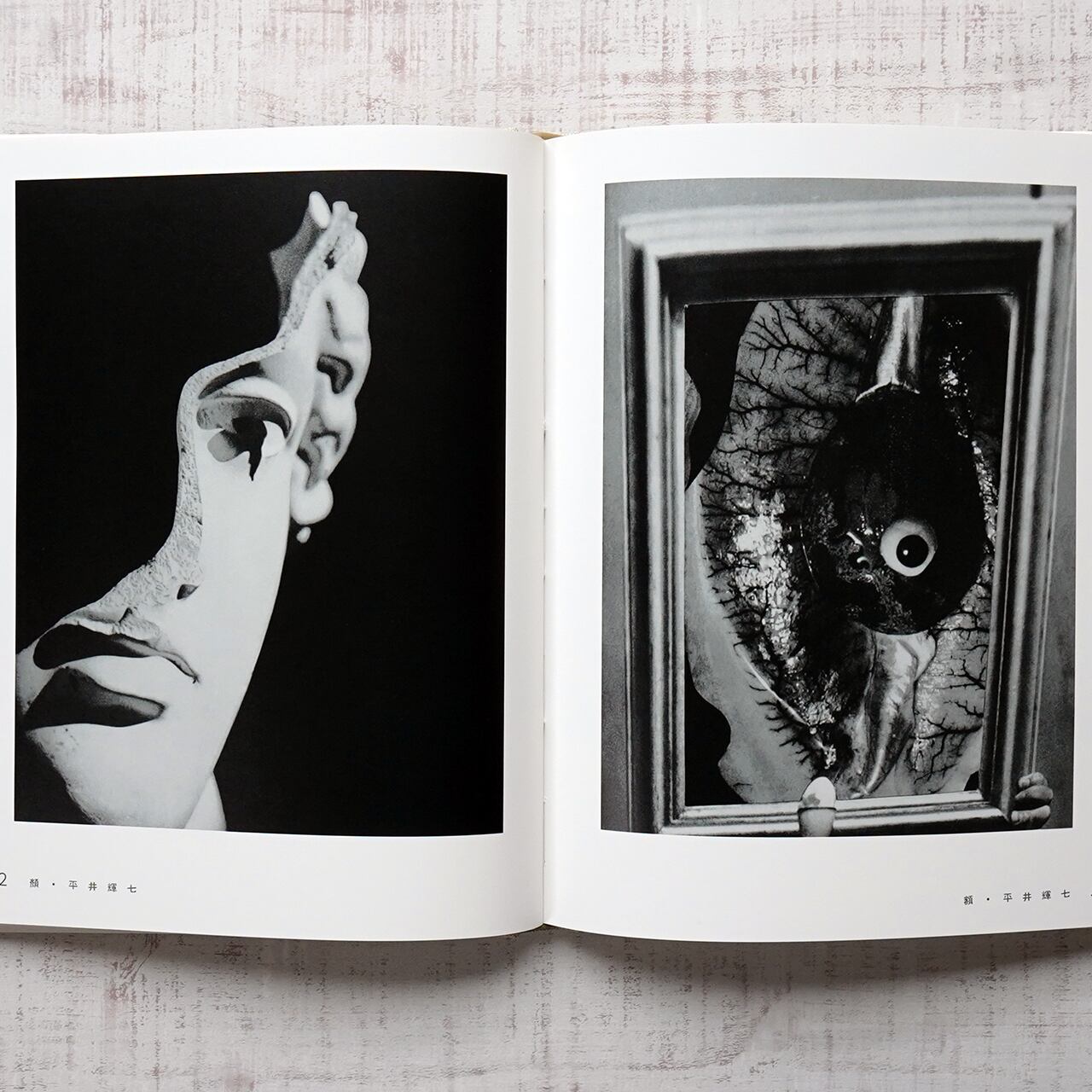 丹平写真倶楽部・光 (日本写真史の至宝) 監修=飯沢耕太郎、金子隆一