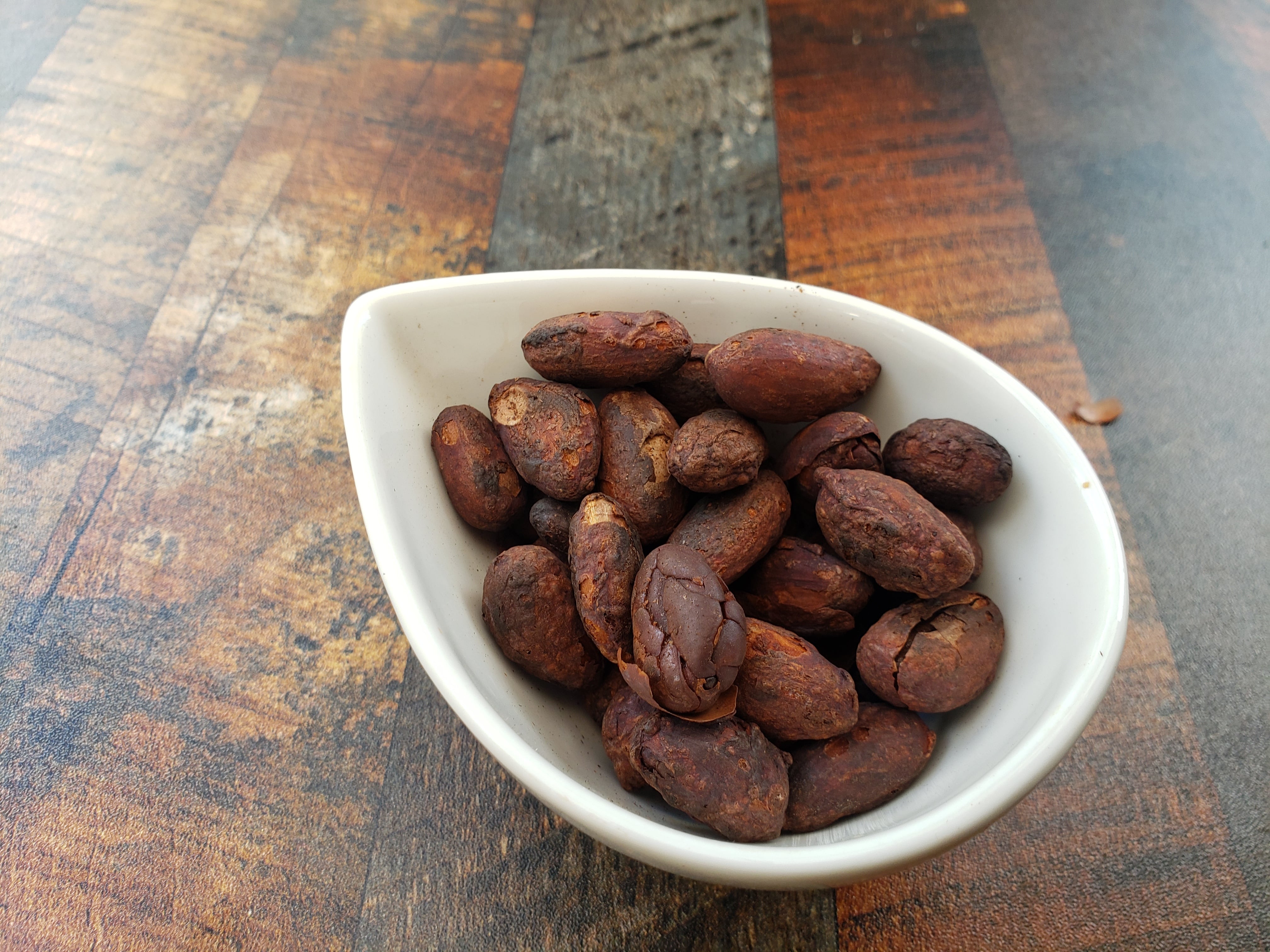 300fd1f44de1dbb544359c1e21832a