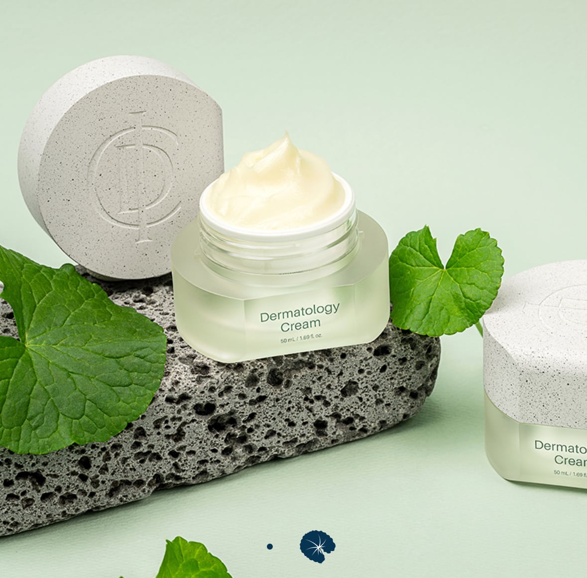 予約】インセルダム ダーマトロジー クリーム | INCELLDERM-JP