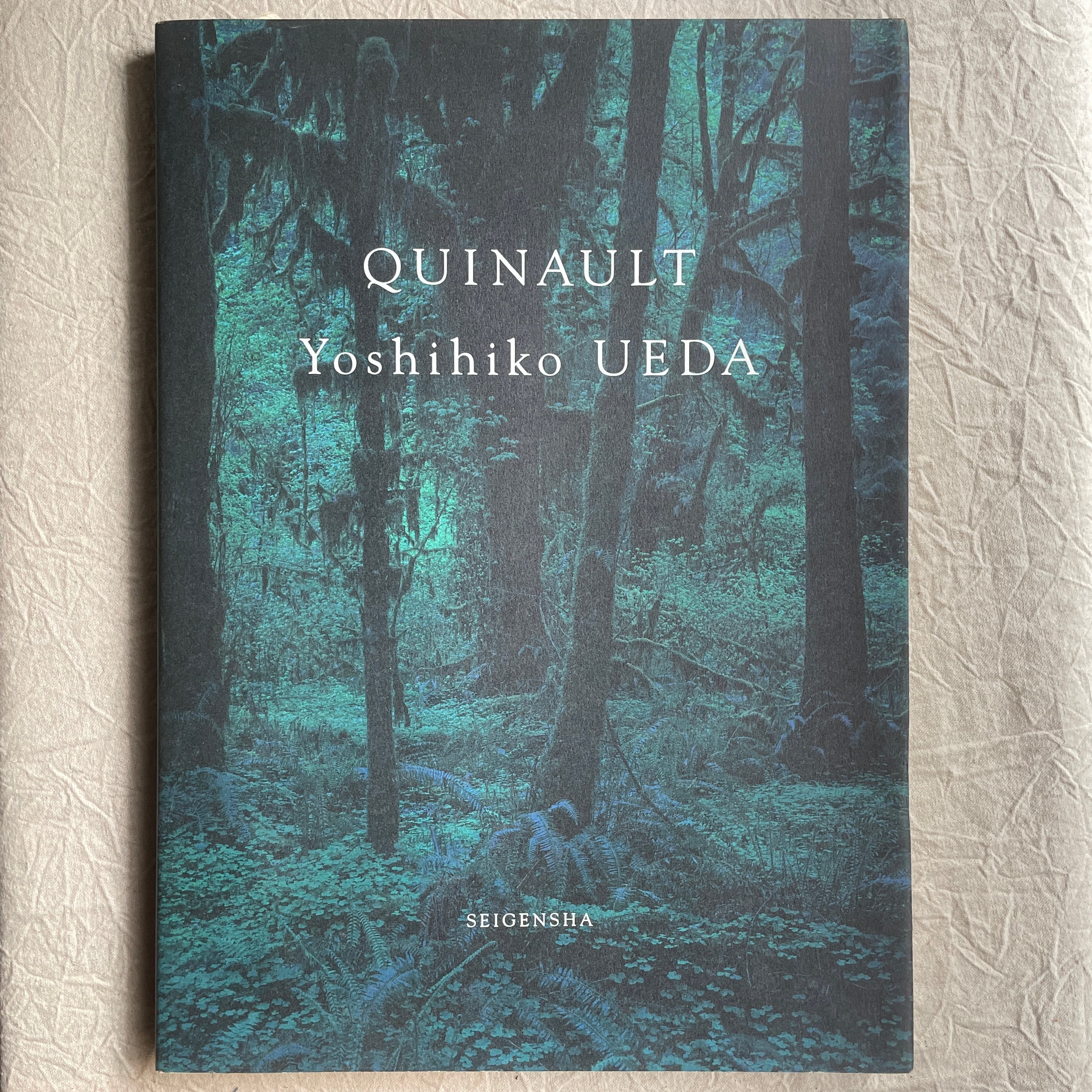 QUINAULT / 上田義彦(Yoshihiko Ueda) | 汀線 / TEISEN BOOKS