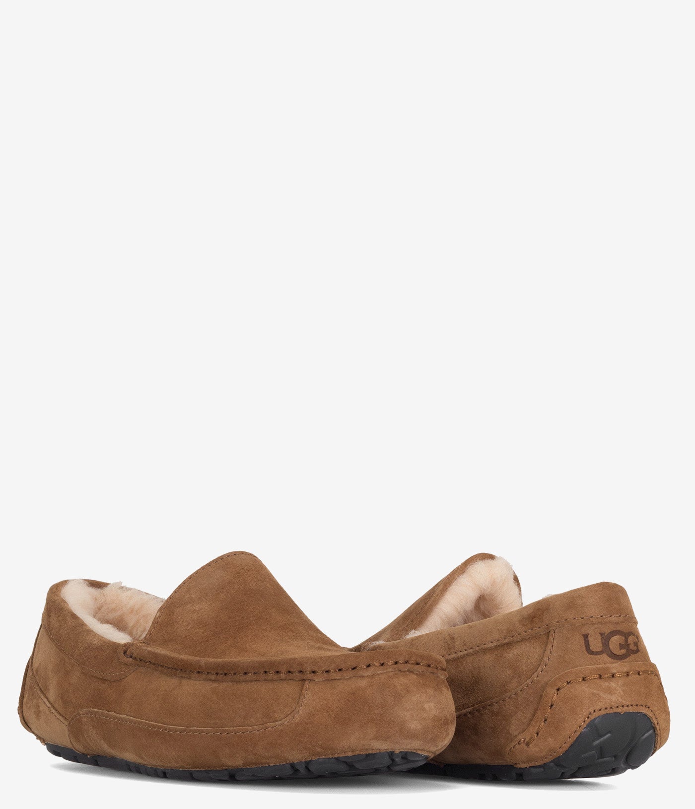 Men's UGG Ascot Slipper | Boot World