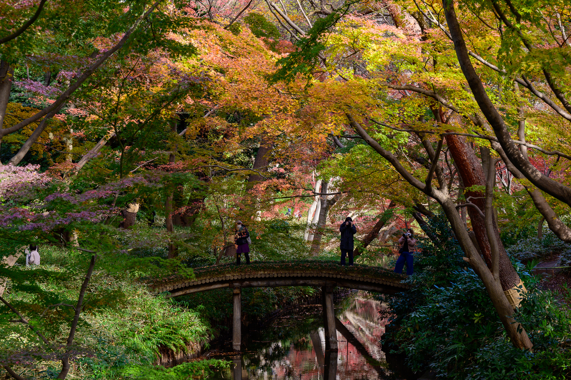 D200 一式 ニコン ニッコール スピードライト 鉄道撮影 紅葉撮り D200