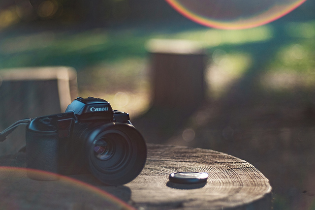 アリバイ日記: 【フィルムカメラ】オートフォーカスのフィルム一眼レフ