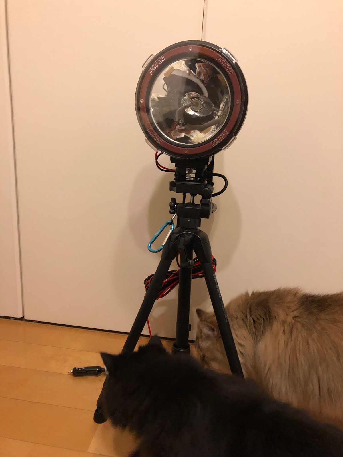 六本足ぶるーす: 道具：HIDライトのインプレ