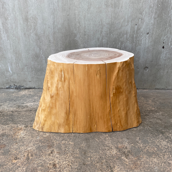 杉の切り株の造形的置物】丸太 椅子 スツール オブジェ ディスプレイ