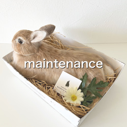 オーダーメイド】【LLサイズ】羊毛フェルト うさぎ ペット うちの子