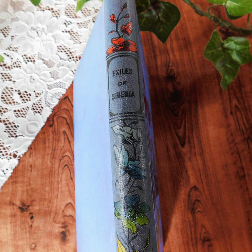 ゜+ 19世紀 洒落たボタニカルイラスト付き表紙 ヴィクトリア朝 英国