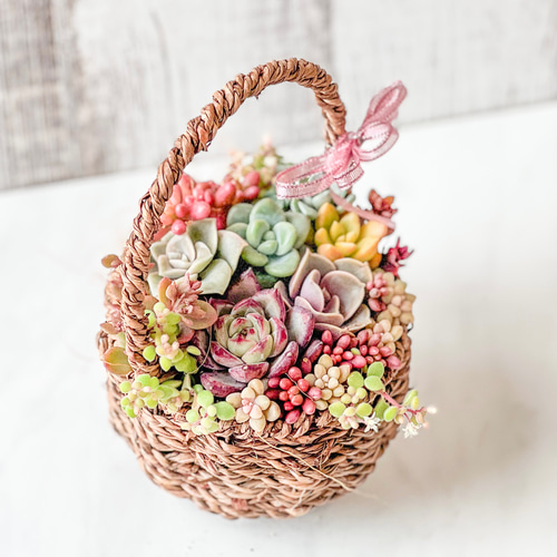 送料無料】多肉植物寄せ植え そのまま飾れる♡春のバスケットアレンジ