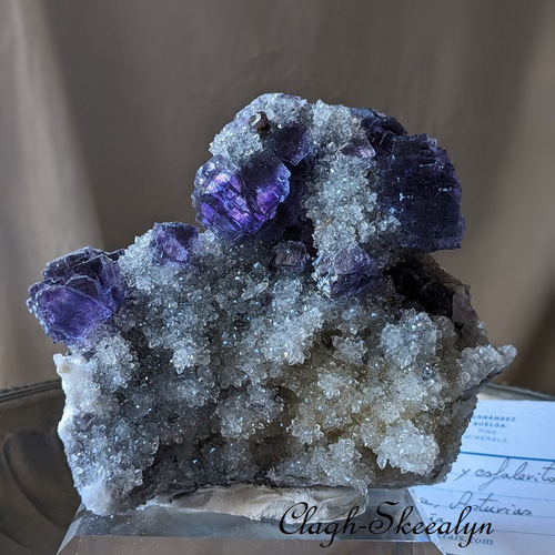 フローライト スペイン La Viesca Mine産 蛍石 原石 19 フローライトON