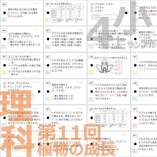 中学受験 暗記カード【4年上 理科 全セット 1-19回】 組分けテスト対策