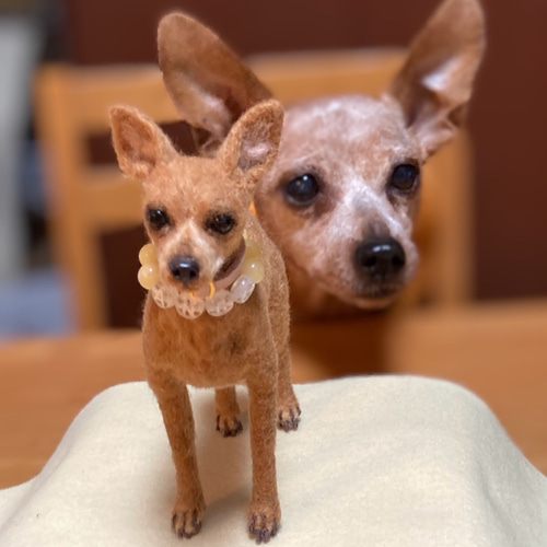 ミニピンオーダー専用 】小さなリアル ミニピン 手乗り 羊毛フェルト犬